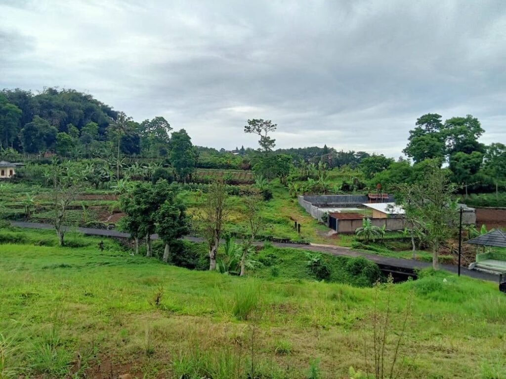 Dijual Murah Tanah di Puncak Bogor